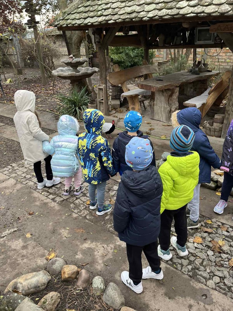 viber slika 2025 11 19 08 25 06 466