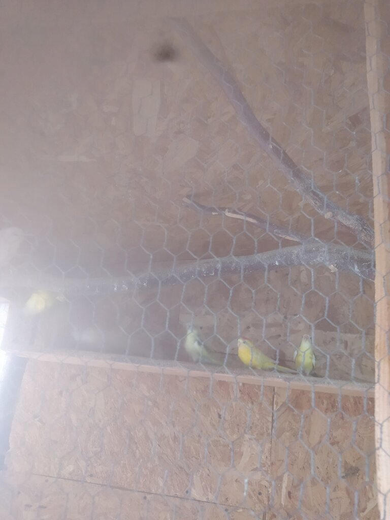 viber slika 2025 11 10 12 11 48 712