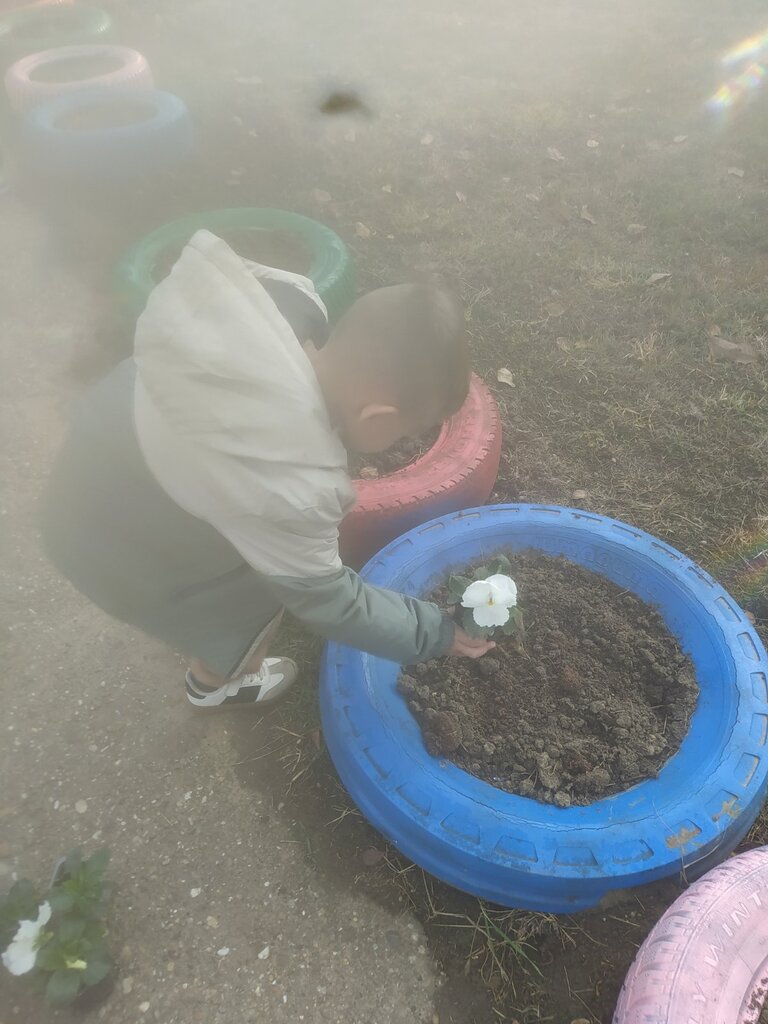 viber slika 2025 10 30 14 34 49 060